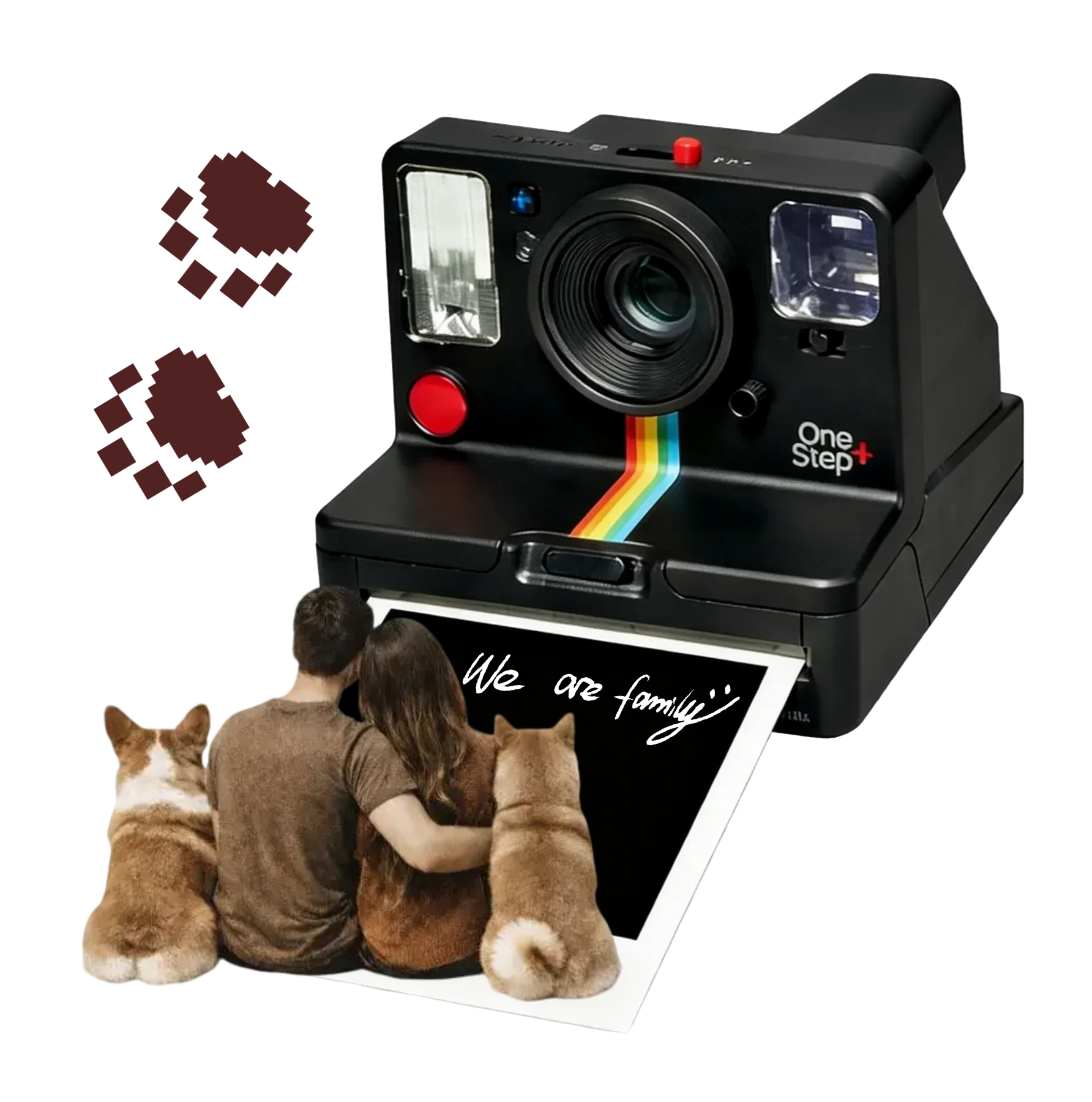 Camera Image